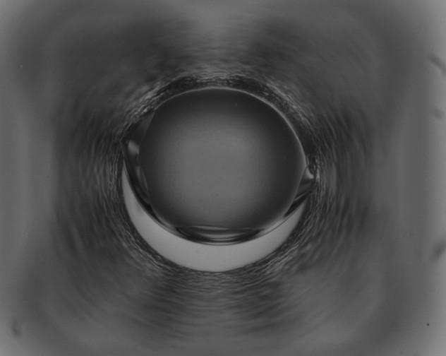 X0000091711348200709071403