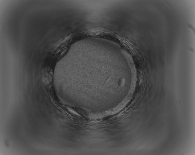 X0000091711349200709071403