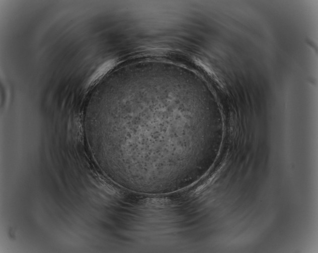 X0000091711354200709071403