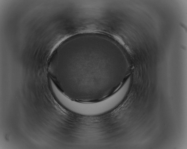 X0000091711356200709071403