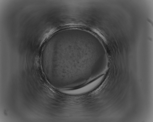 X0000091711357200709071403