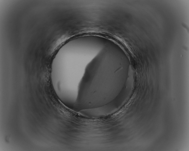 X0000091711359200709071403