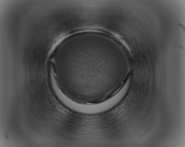 X0000091711360200709071403