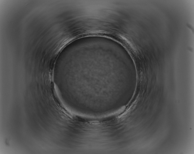 X0000091711361200709071403