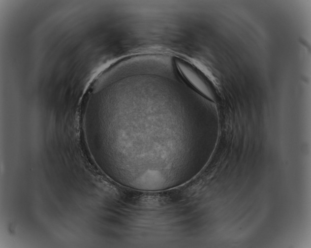 X0000091711364200709071403