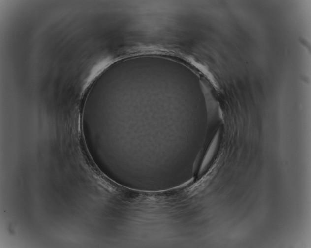 X0000091711365200709071403