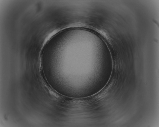 X0000091711366200709071403