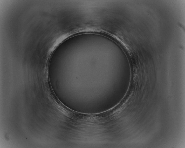 X0000091711367200709071403