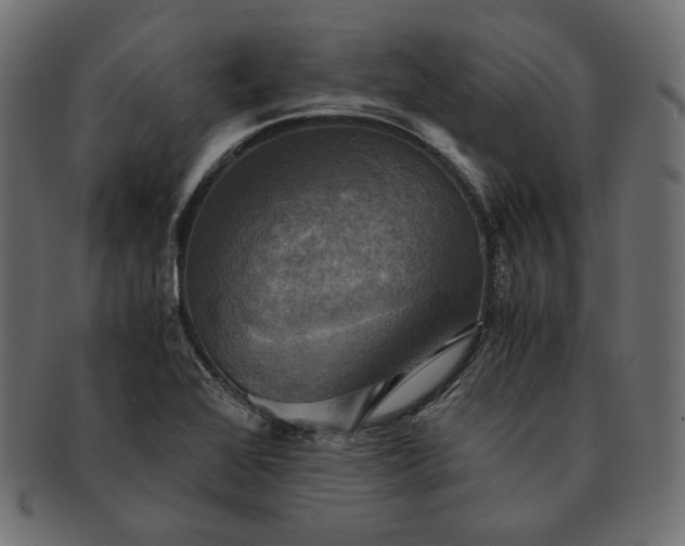 X0000091711368200709071403