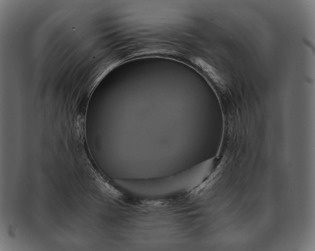 X0000091711369200709071403