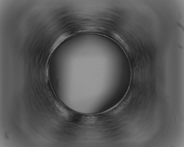 X0000091711370200709071403