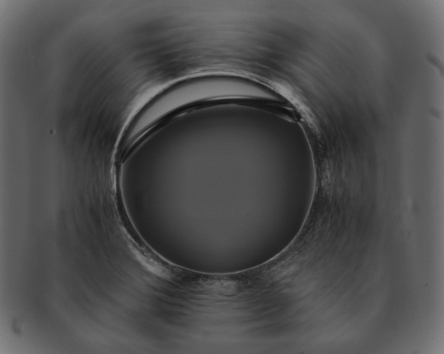 X0000091711372200709071403