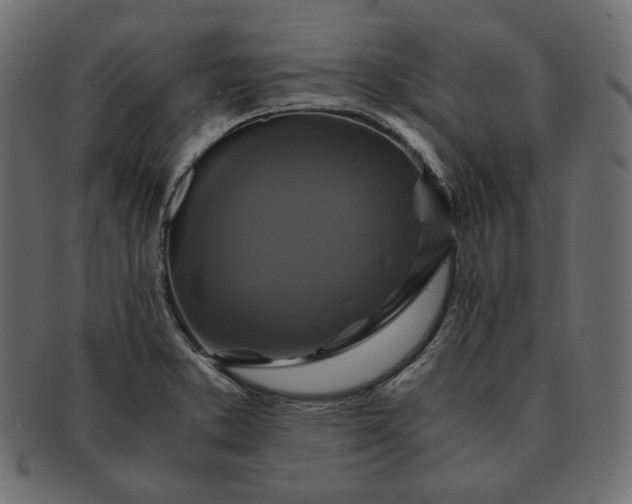 X0000091711373200709071403