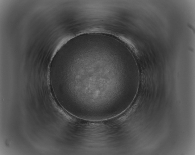 X0000091711374200709071403