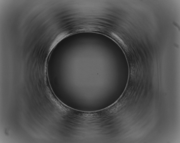 X0000091711378200709071402