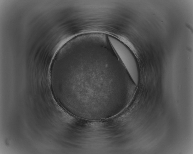 X0000091711380200709071402