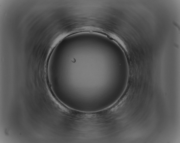 X0000091711381200709071402