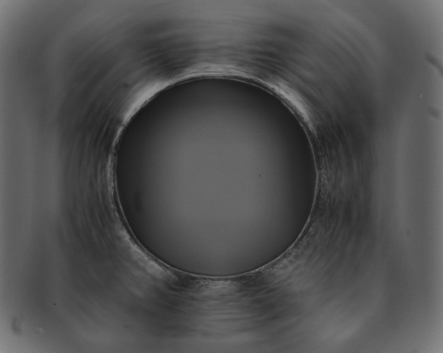 X0000091711382200709071402