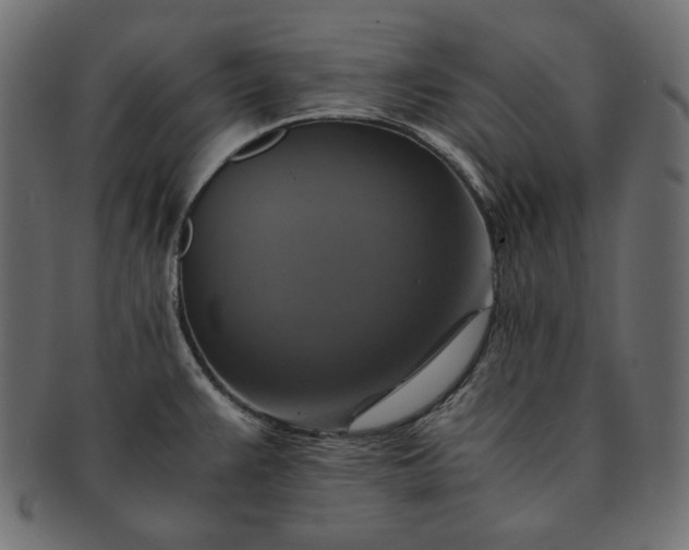 X0000091711383200709071402