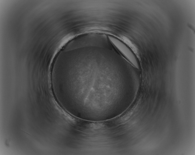 X0000091711384200709071402