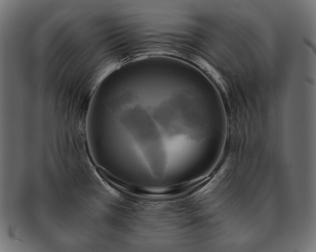 X0000091711385200709071402