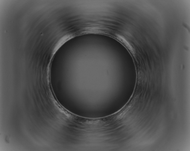 X0000091711386200709071402