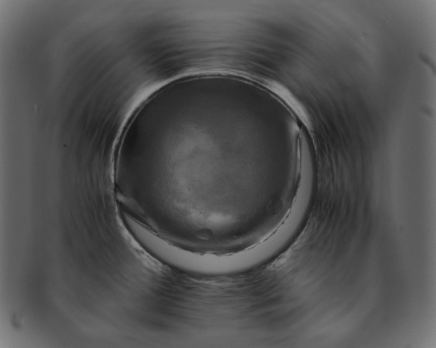 X0000091711388200709071402