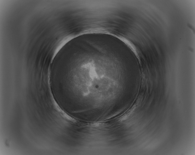 X0000091711390200709071402