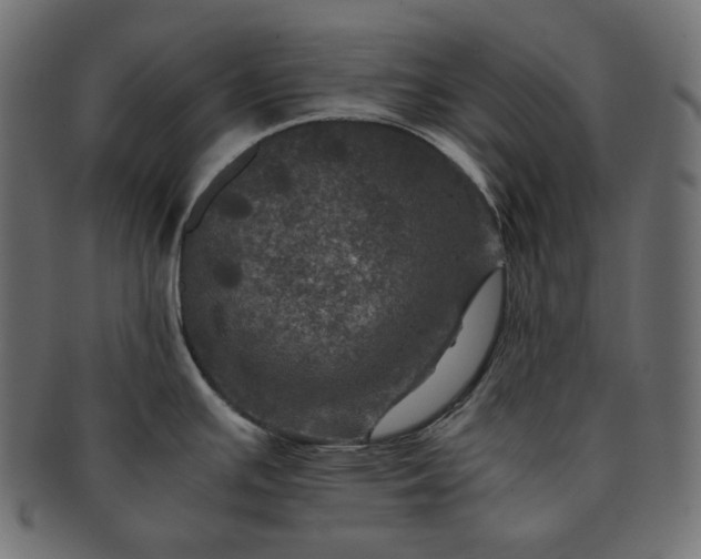 X0000091711391200709071402