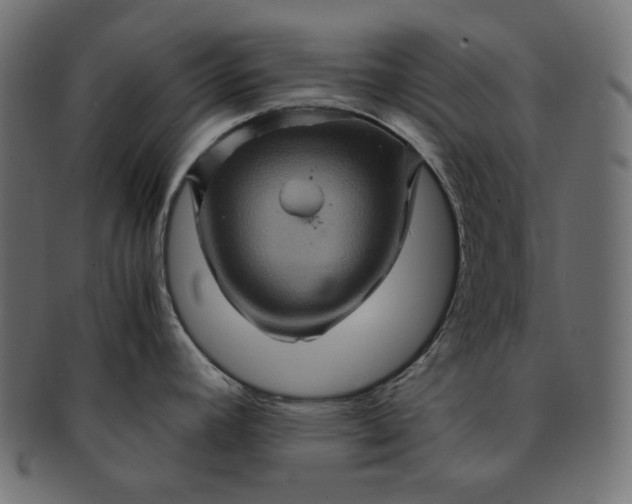 X0000091711392200709071402