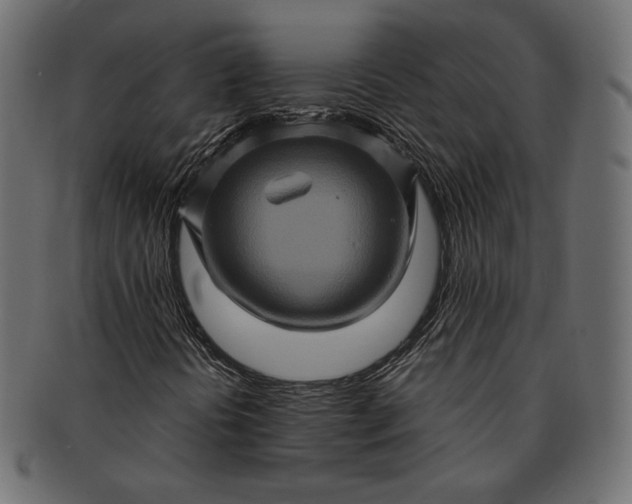 X0000091711394200709071401