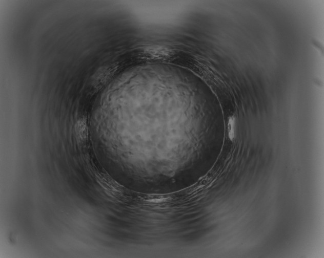 X0000091711395200709071401