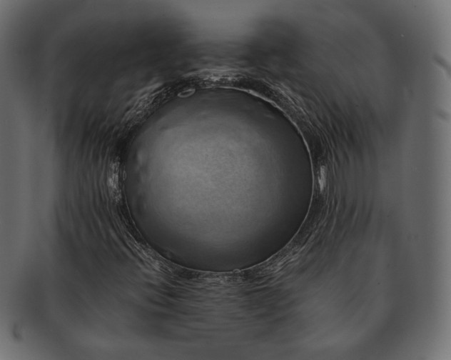 X0000091711396200709071402