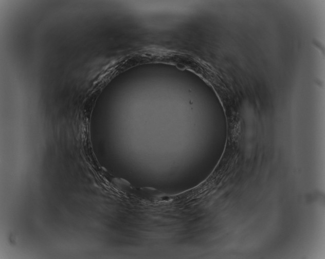 X0000091711397200709071402