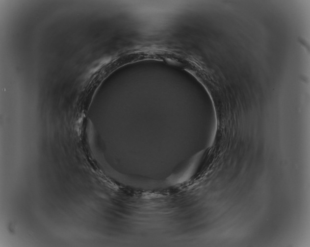 X0000091711398200709071402