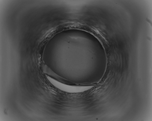 X0000091711399200709071402