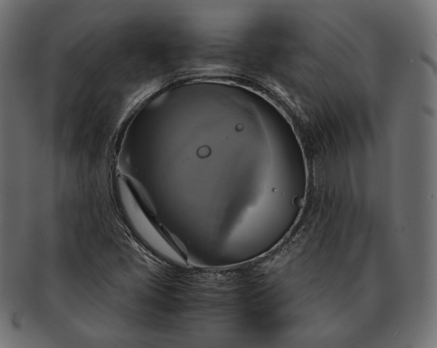 X0000091711405200709071402