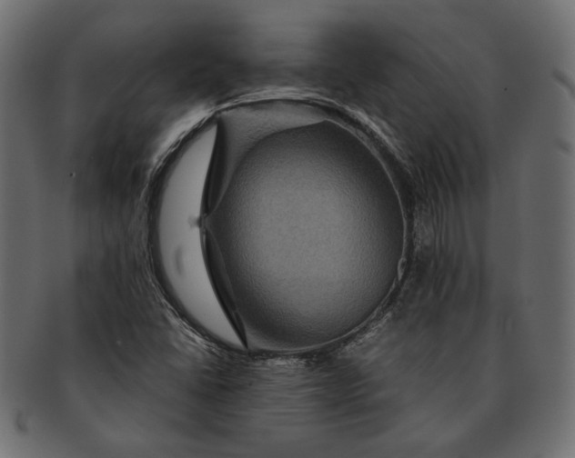 X0000091711406200709071402