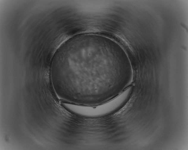 X0000091711409200709071402