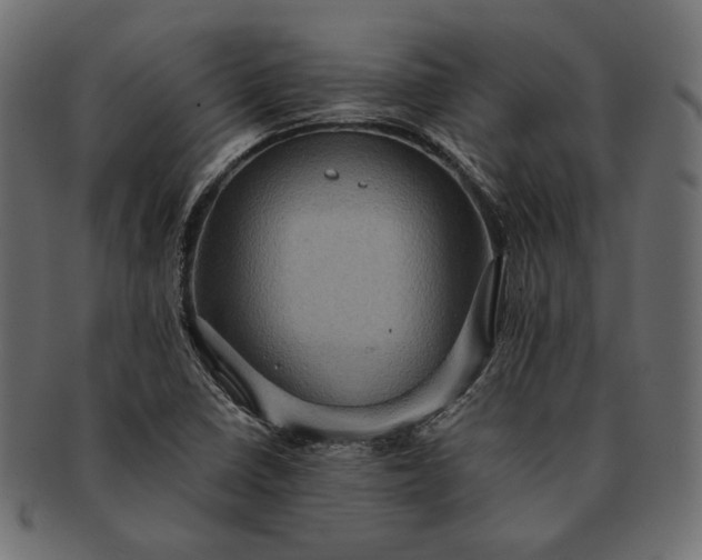 X0000091711410200709071402