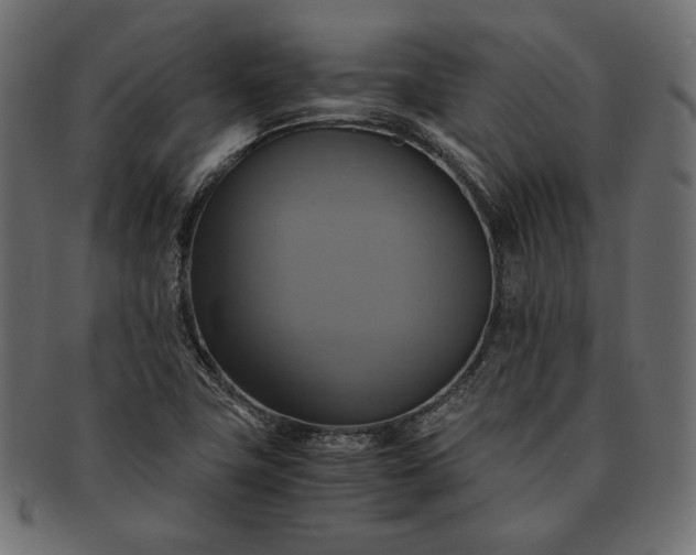 X0000091711411200709071402