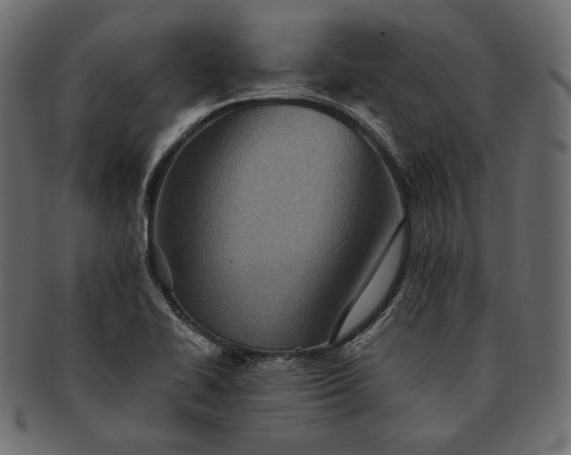 X0000091711414200709071402