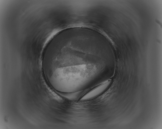 X0000091711416200709071402