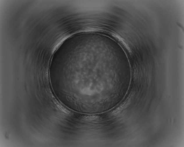 X0000091711417200709071402