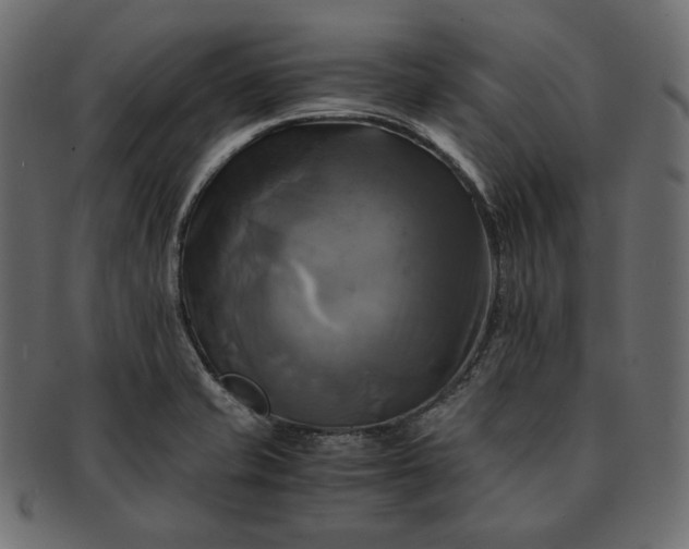 X0000091711421200709071402