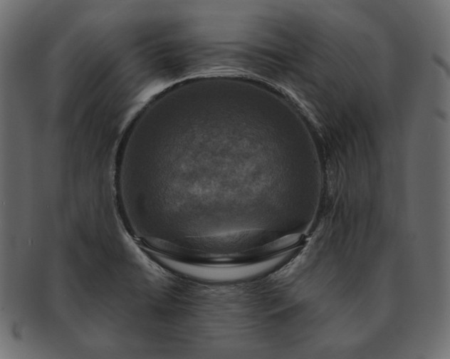 X0000091711422200709071402