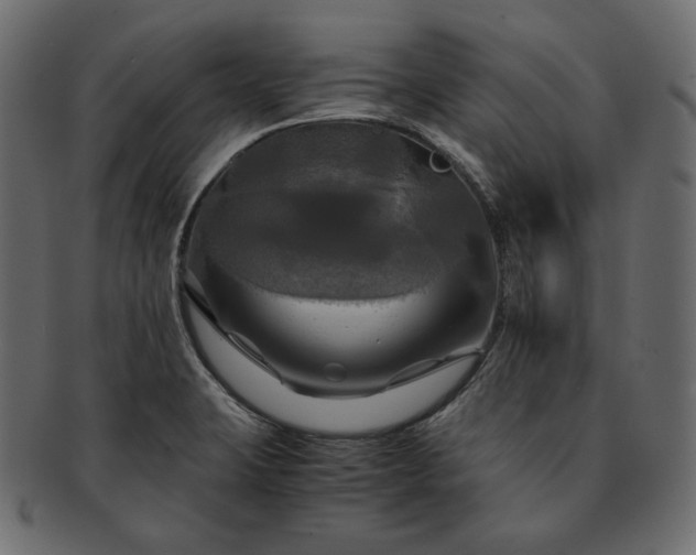 X0000091711423200709071402