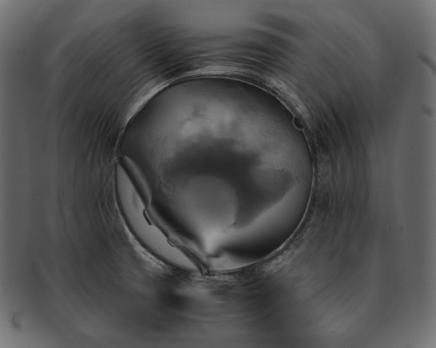 X0000091711425200709071402