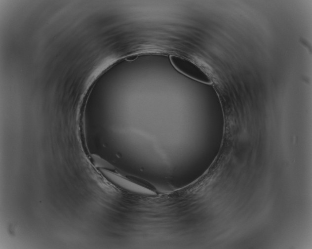 X0000091711427200709071402