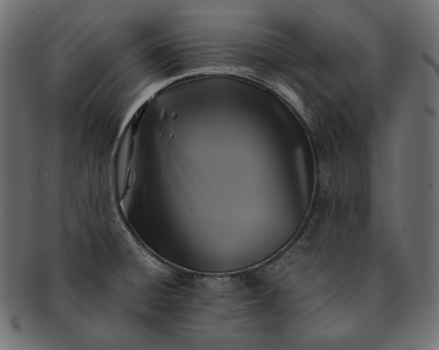 X0000091711428200709071402